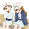 platelet